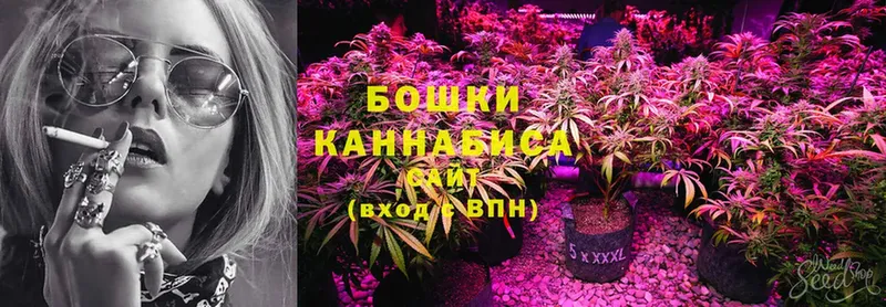 Марихуана SATIVA & INDICA  сколько стоит  Дмитровск 